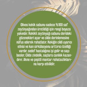 صابون جامد اورجینال برند Olivos کد 46282398