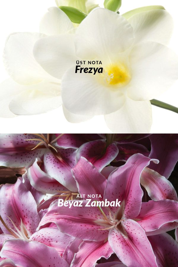 ادکلن اورجینال برند Avon کد 2364518 - Image 3