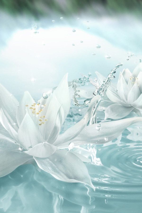 ادکلن اورجینال برند Estee lauder کد 411747497 - Image 6