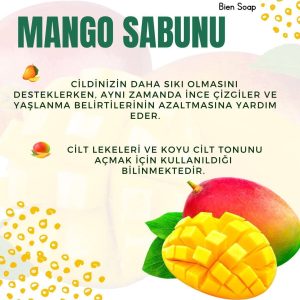 صابون جامد اورجینال برند Bnsp کد 273709849