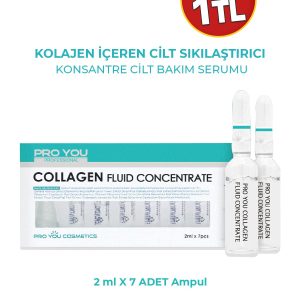1 org zoom 123678