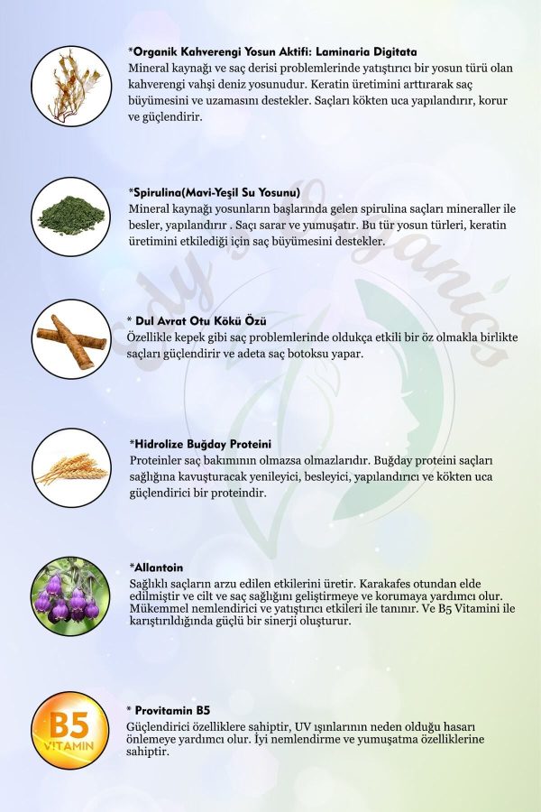 شامپو اورجینال برند Edy s organics کد 49055920 - Image 3