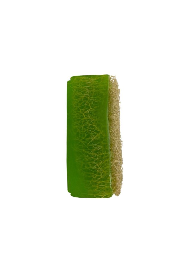 صابون جامد اورجینال برند Aloe vera کد 734348947