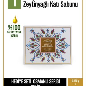 1 org zoom 131501