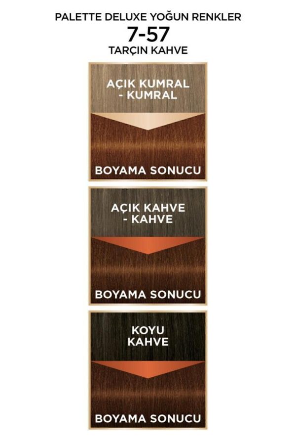 رنگ مو اورجینال برند Palette مدل Palette Deluxe Yoğun Renkler کد 38610009 - Image 5