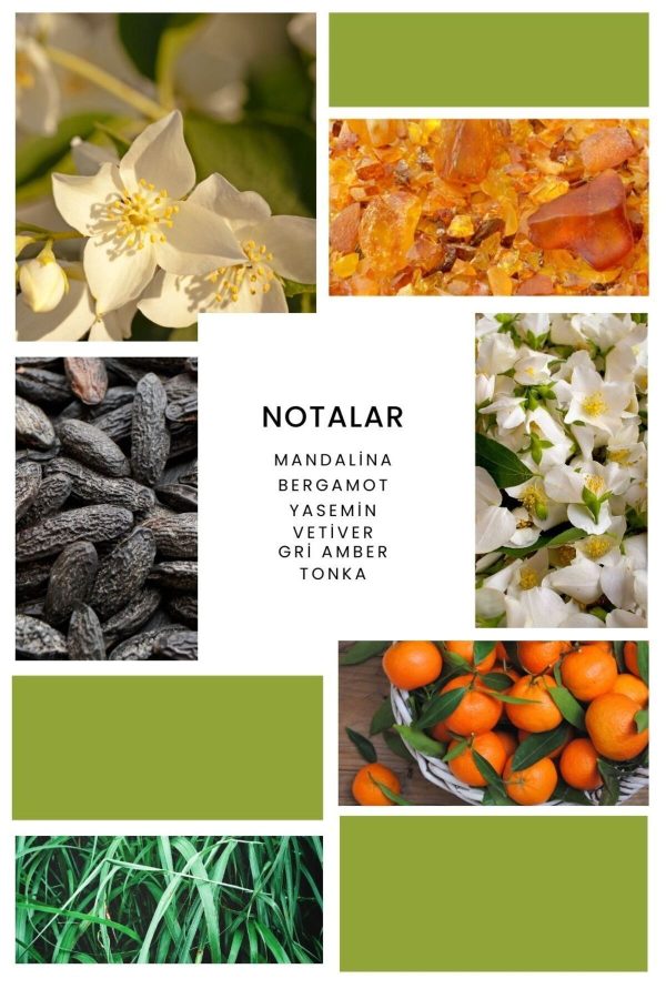 ادکلن اورجینال برند Ixora کد 774052385 - Image 2