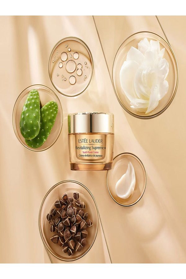 کرم صورت اورجینال برند Estee lauder کد 792949320 - Image 3