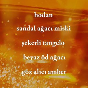 کرم بدن اورجینال برند Bath body works مدل In The Stars Shea کد 777644093