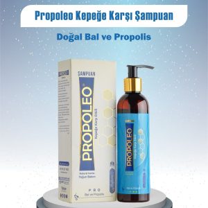 1 org zoom 147602