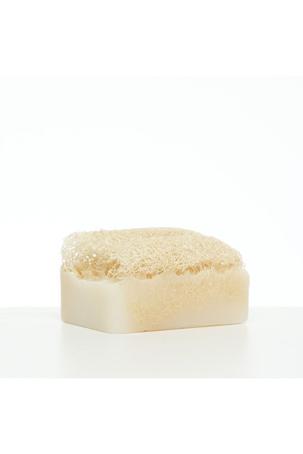 صابون جامد اورجینال برند Eloque مدل Natural Pumpkin Fiber Soap کد 679879878 - Image 2
