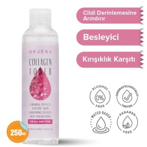 1 org zoom 37593
