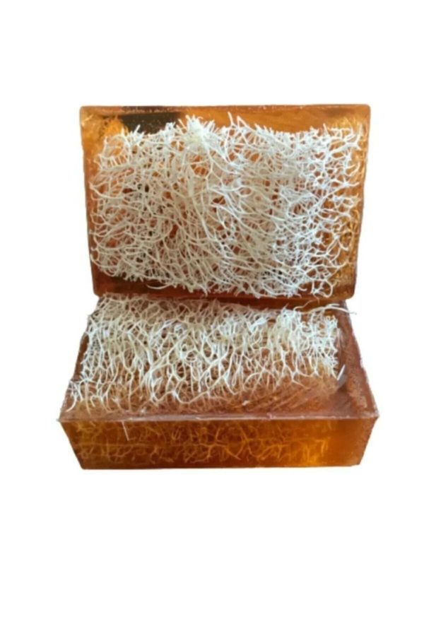 صابون جامد اورجینال برند Ozden مدل Natural Pumpkin Fiber Honey Soap کد 51941211 - Image 2