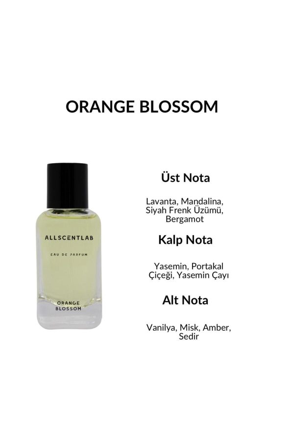 ادکلن اورجینال برند Allscentlab مدل Orange Blossom Edp 50ml کد 764523075 - Image 3