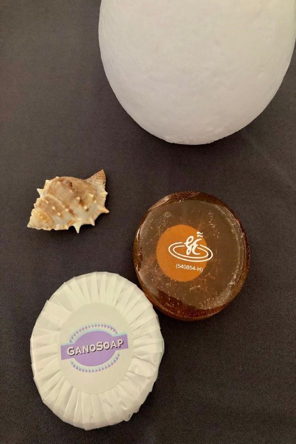 صابون جامد اورجینال برند Ganosoap کد 118675529