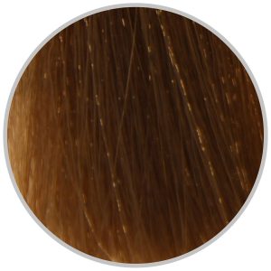 1 org zoom 54054