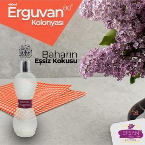 1 org zoom 55856