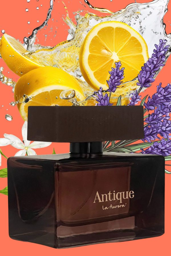 ادکلن اورجینال برند La aurora مدل The Antique Nicos Sculpture Edp کد 760640386 - Image 4