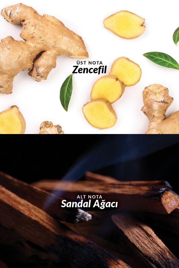 ادکلن اورجینال برند Avon کد 267662164 - Image 3