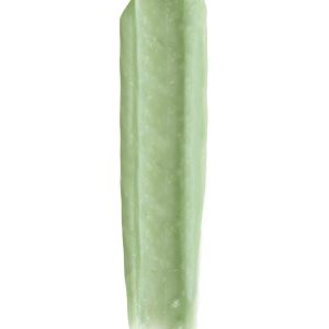 کرم لب اورجینال برند Pastel مدل Lip Renewal Fresh Mint Scrub کد 808301876