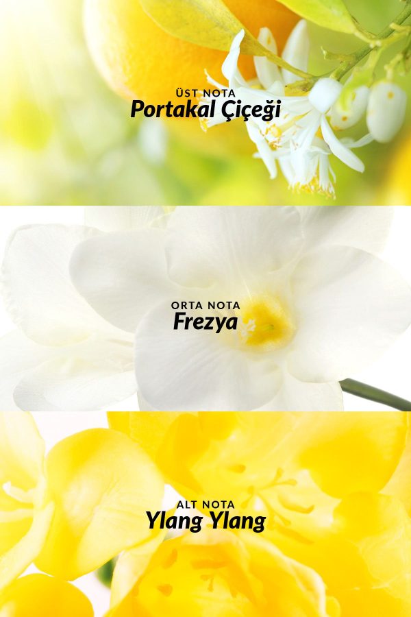 ادکلن اورجینال برند Avon کد 252679153 - Image 3