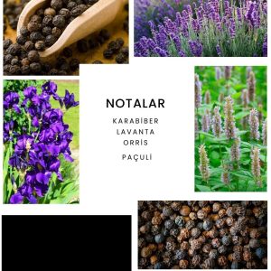 ادکلن اورجینال برند Ixora مدل E283x2 کد 772277156