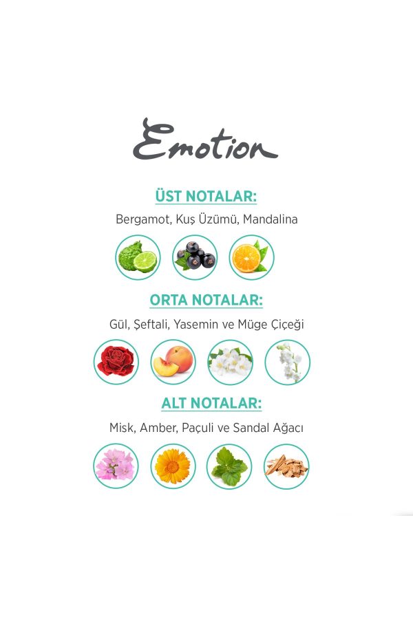 ادکلن اورجینال برند Emotion مدل Aqua Kiss Edt Parfüm 50ml کد 2478063 - Image 4