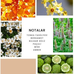 ادکلن اورجینال برند Ixora مدل K367 Esprit کد 719078074