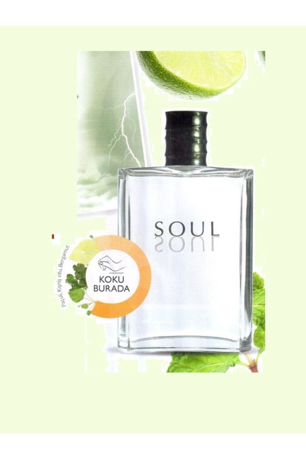 ادکلن اورجینال برند Oriflame مدل Soul Edt 100 Ml کد 381722407