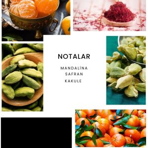 ادکلن اورجینال برند Ixora کد 355640504