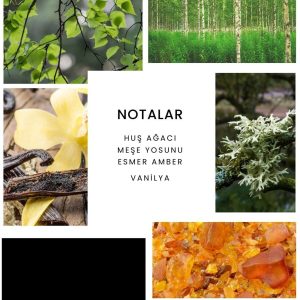 ادکلن اورجینال برند Ixora مدل E262 Explore کد 60229591
