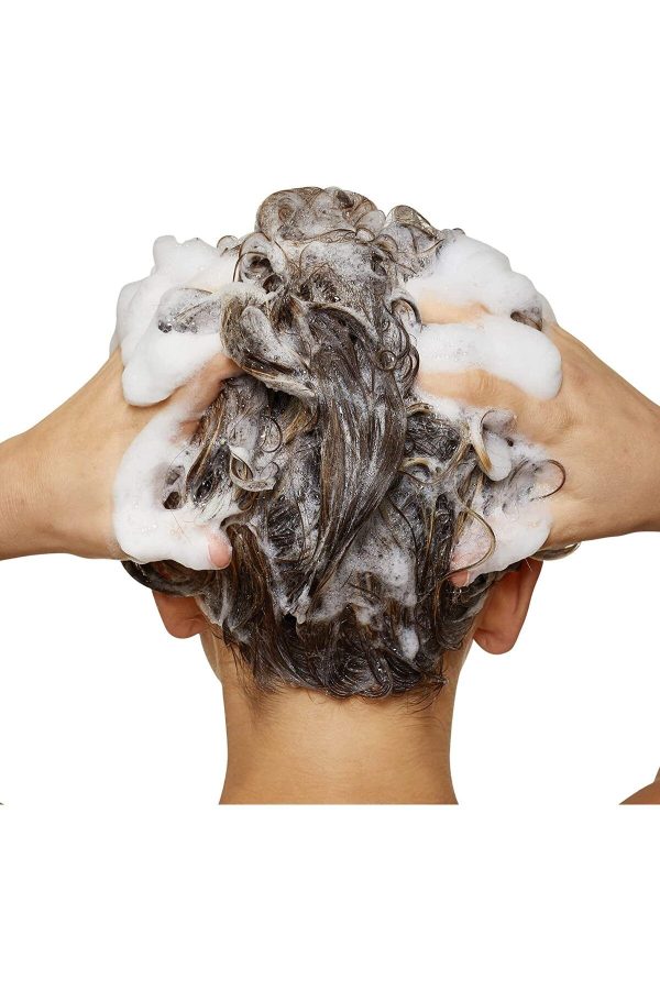 شامپو اورجینال برند L oreal professionnel کد 800308259 - Image 4