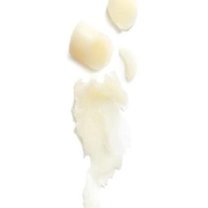 کرم لب اورجینال برند L occitane کد 746010002