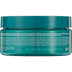 ماسک مو اورجینال برند Aveda مدل Botanical Repair Intensive Strengthening Masque کد 731057091