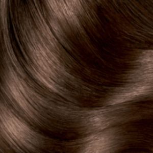 رنگ مو اورجینال برند Garnier کد 220816951