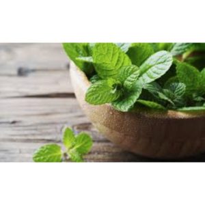روغن مراقبت کننده اورجینال برند Endora dogal کد 72224868