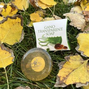 صابون جامد اورجینال برند Ganosoap مدل Transparent Soap کد 487999077