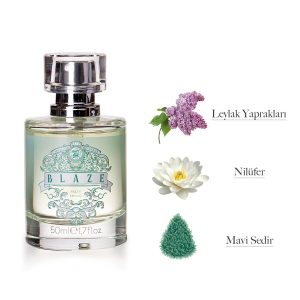 ادکلن اورجینال برند Happy body مدل Happy Body Blaze 50 ml کد 658288051