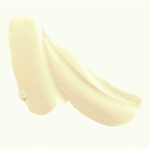 کرم لب اورجینال برند Jane iredale کد 3338935