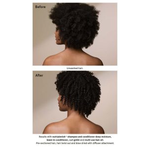 شامپو اورجینال برند Aveda کد 369612454