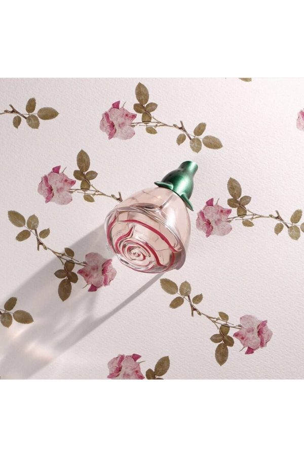 ادکلن اورجینال برند Oriflame مدل Volare Moments Edp 50 ml کد 69378670 - Image 3
