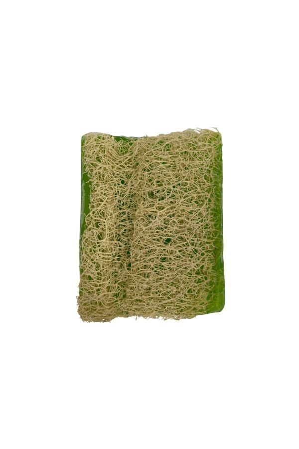 صابون جامد اورجینال برند Aloe vera کد 734348947 - Image 3