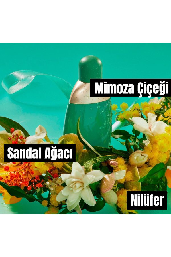 ادکلن اورجینال برند Cacharel کد 387115 - Image 4