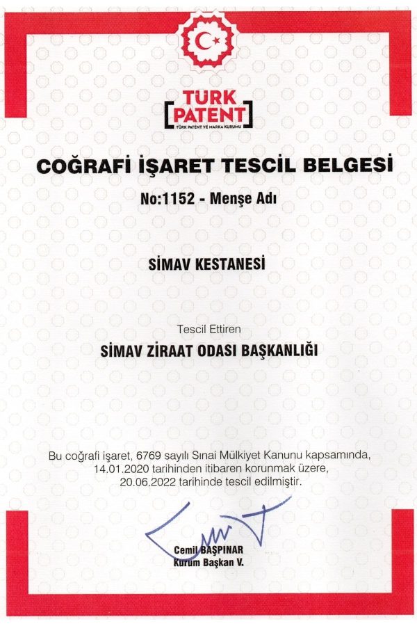 ادکلن اورجینال برند Simav synaus کد 315789700 - Image 3