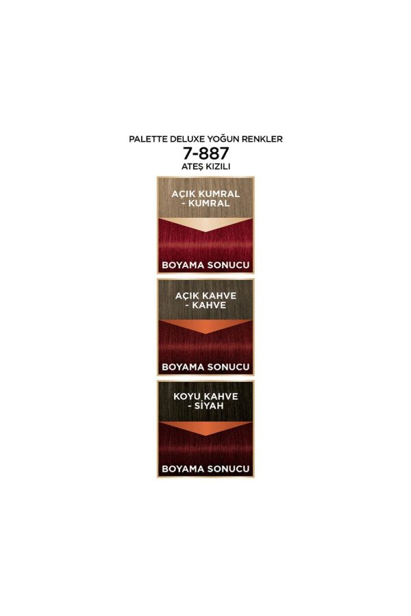 رنگ مو اورجینال برند Palette کد 220333219 - Image 4
