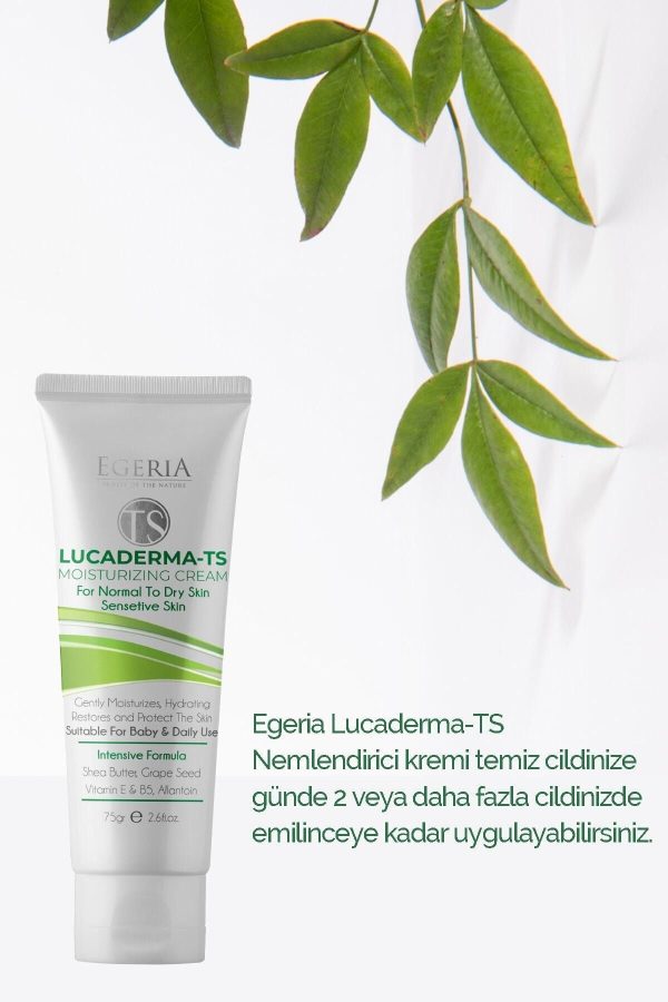 کرم صورت اورجینال برند Dr ea laboratories مدل Ts Nemlendirici Krem 75gr کد 31683969 - Image 5