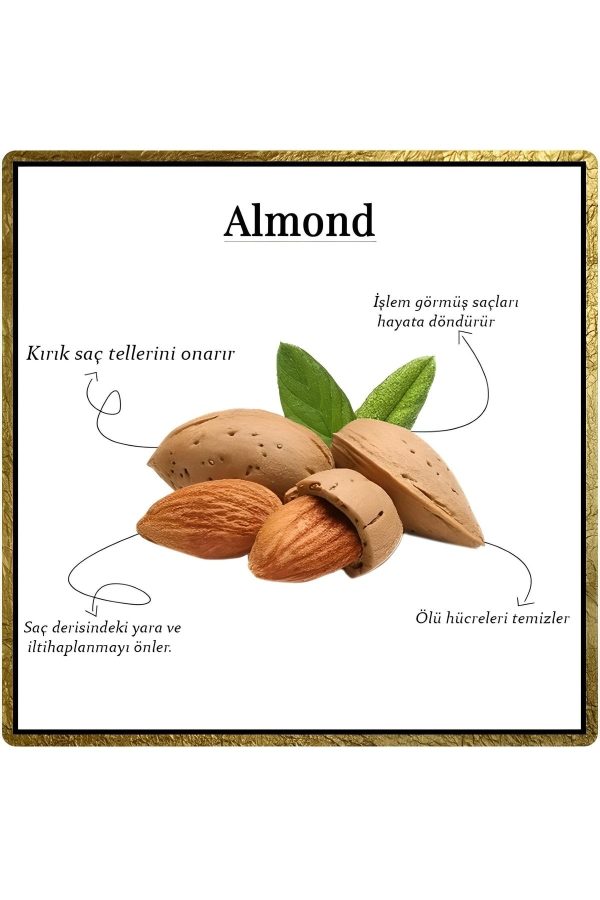 روغن و سرم مو اورجینال برند Alp کد 335143080 - Image 5