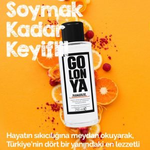 ادکلن اورجینال برند Golonya مدل Cam Şişe 250 ml کد 31436022