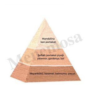ادکلن اورجینال برند Bargello کد 288790132