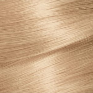 رنگ مو اورجینال برند Garnier مدل Extra Light Natural Ash Blonde کد 263578861