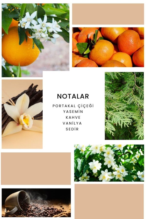 ادکلن اورجینال برند Ixora کد 73954353 - Image 2